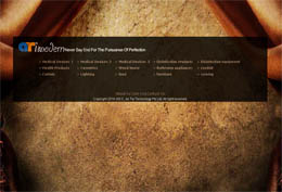 �Ĵ�����Imodern